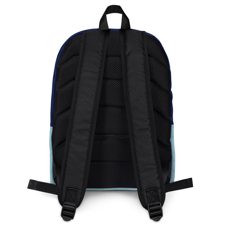 Carolina Skyhawks Backpack