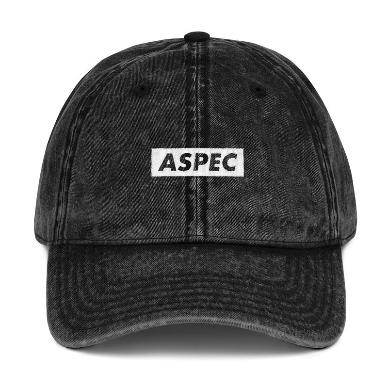 Aspec Vintage Dad Hat