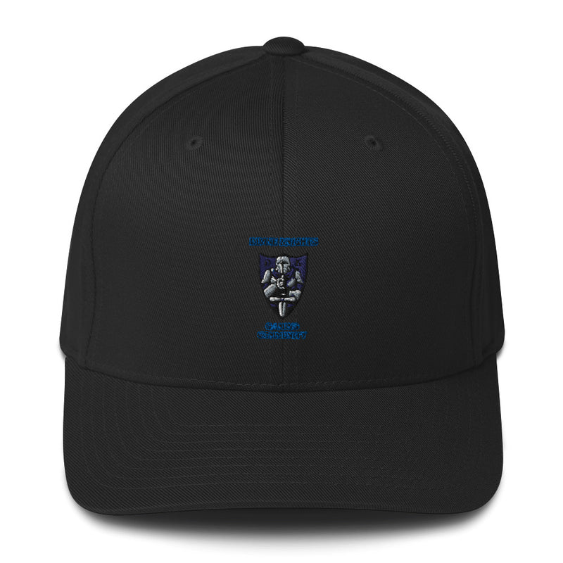 Divine Knights Gaming Cap
