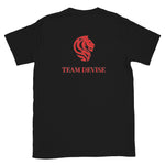 Team Devise Logo Shirt